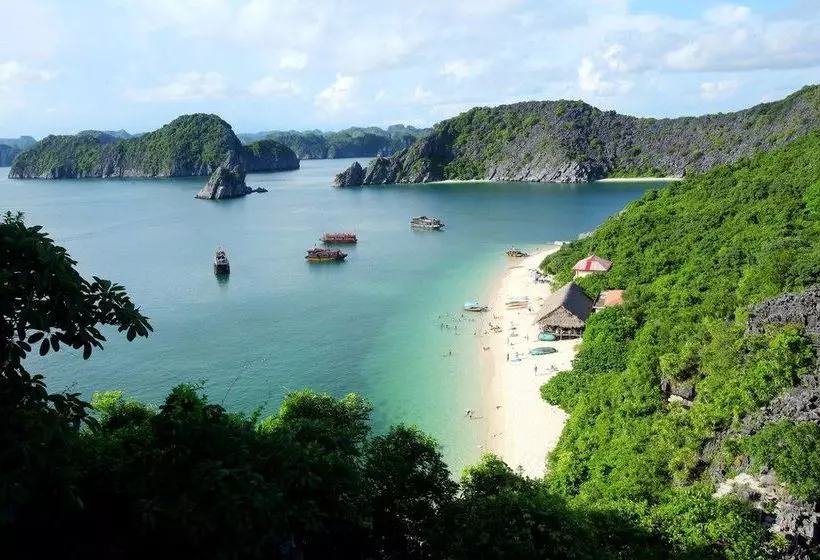 Fotos del hotel Monkey Island Resort:  8