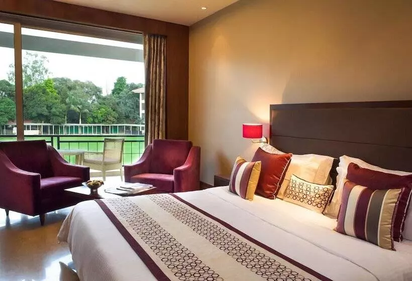 Fotos del hotel Mountview:  20