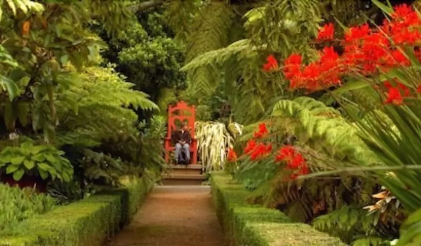 Fotos del hotel Camp Estate:  5