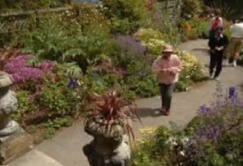 Fotos del hotel Camp Estate:  3