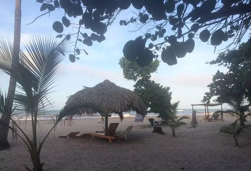 Fotos del hotel Playa Mandala:  7