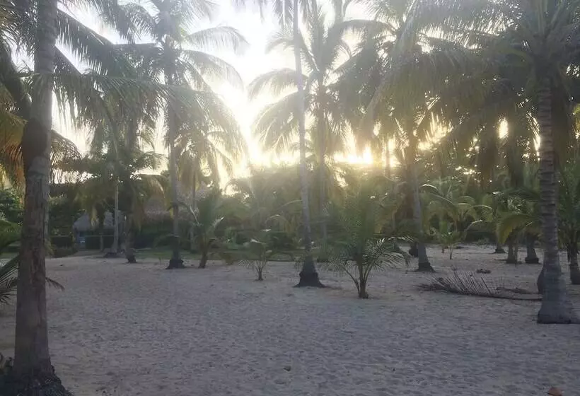 Fotos del hotel Playa Mandala:  10