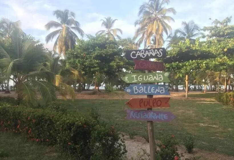 Fotos del hotel Playa Mandala:  14