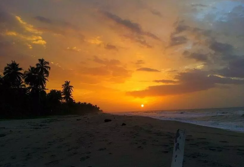 Fotos del hotel Playa Mandala:  2