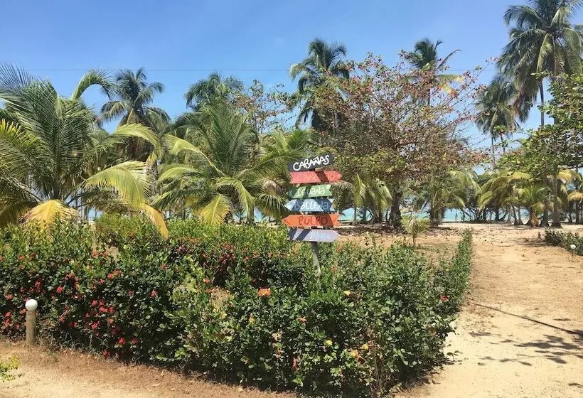 Fotos del hotel Playa Mandala:  12