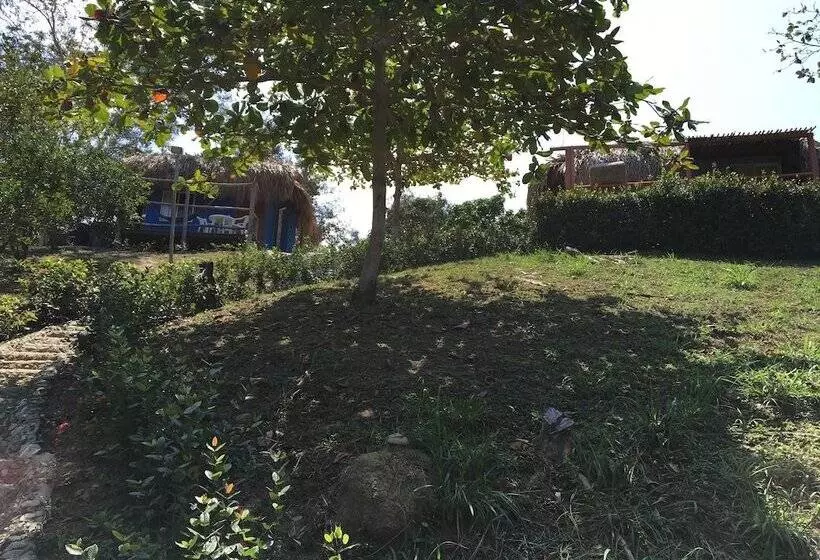 Fotos del hotel Playa Mandala:  3