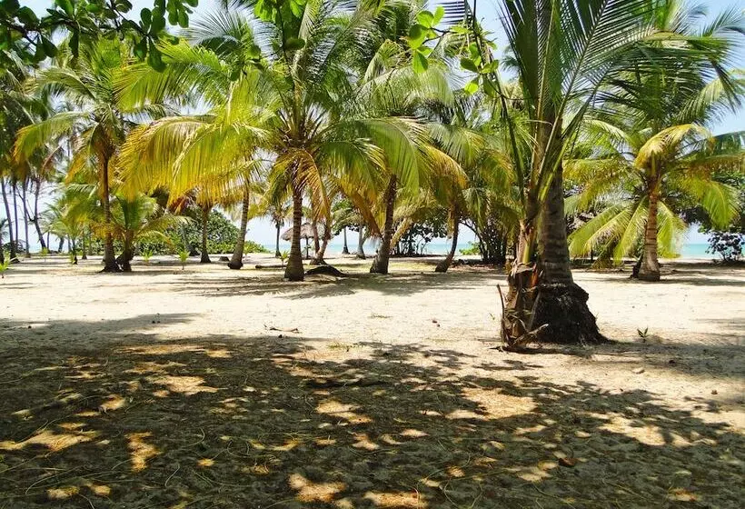 Fotos del hotel Playa Mandala:  11