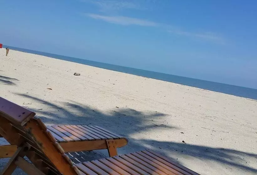 Fotos del hotel Playa Mandala:  4