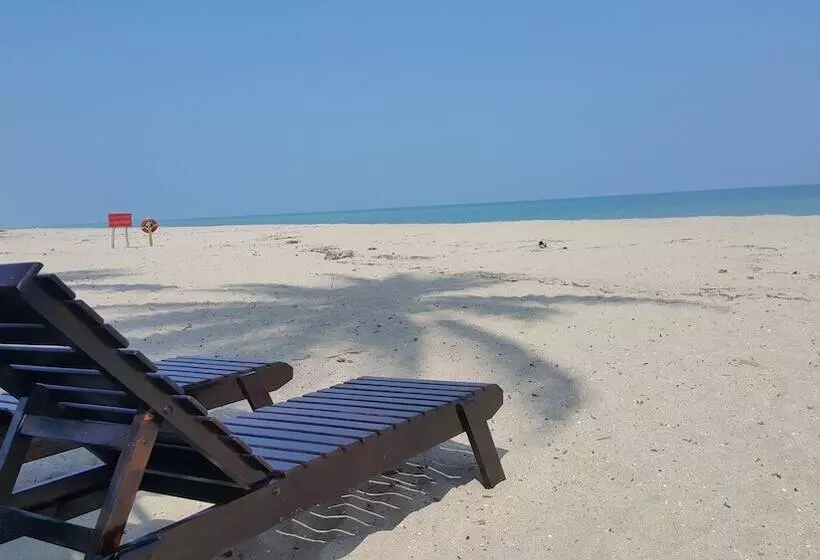 Fotos del hotel Playa Mandala:  6