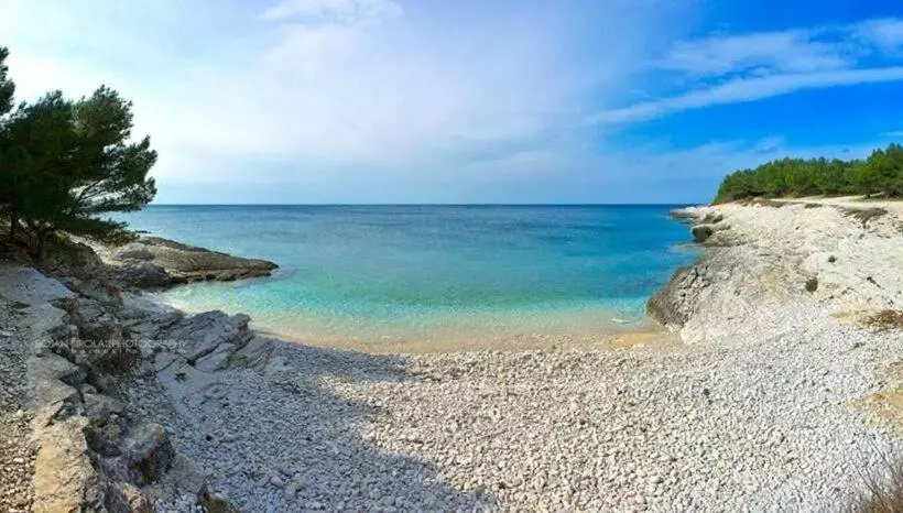 Fotos del hotel Villa Natalija:  19