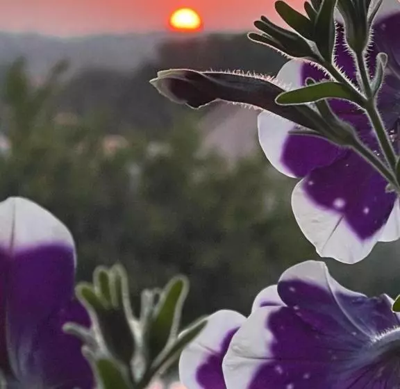 Fotos del hotel Villa Natalija:  24