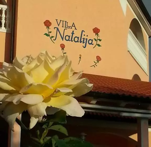 Fotos del hotel Villa Natalija:  9