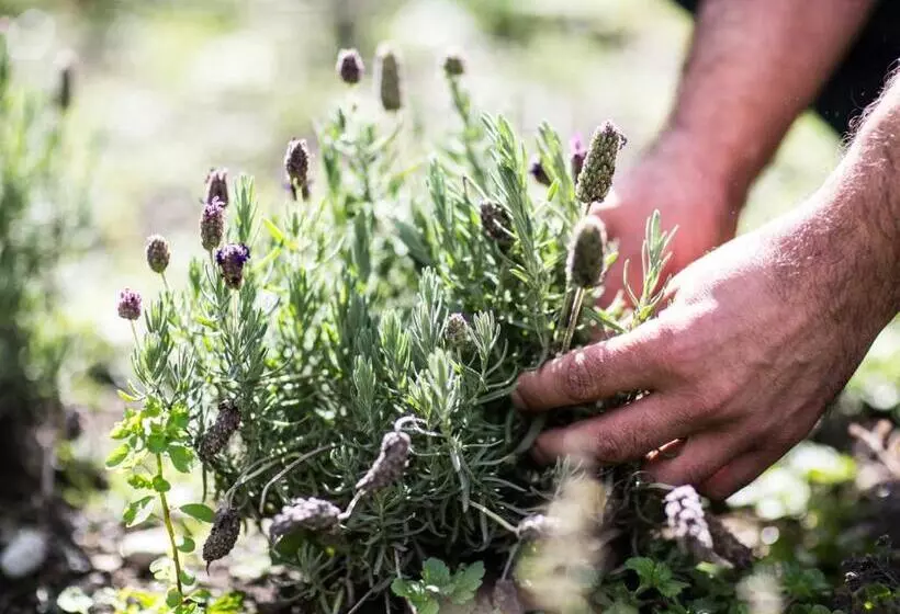 Fotos del hotel Land Jäger Top:  6