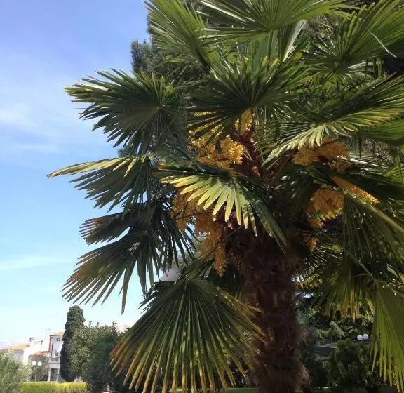 Fotos del hotel Flores:  21