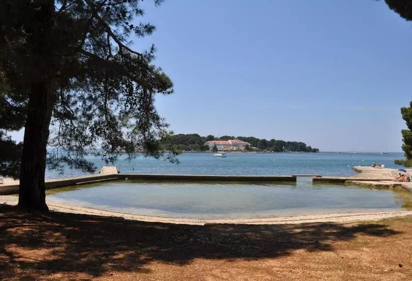 Fotos del hotel Flores:  2