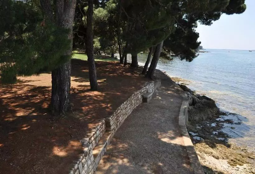 Fotos del hotel Flores:  25