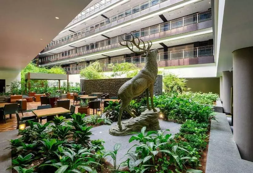 Fotos del hotel The Westin Doha Hotel & Spa:  5