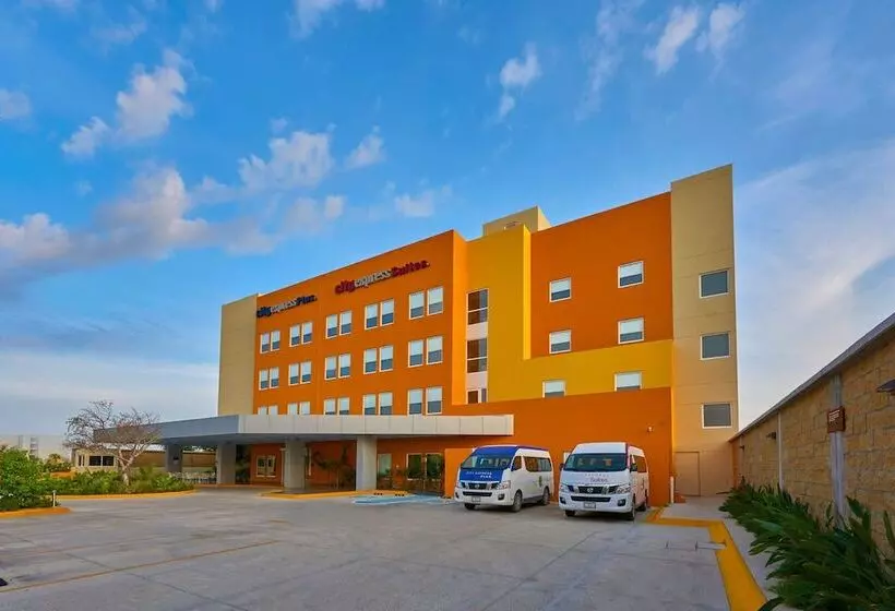 City Suites Cabo San Lucas