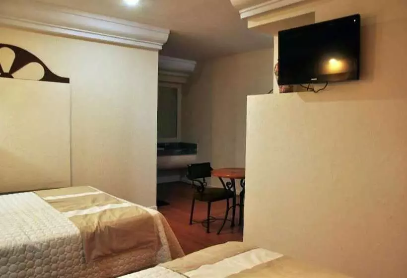 Fotos del hotel Global Express Puebla:  16