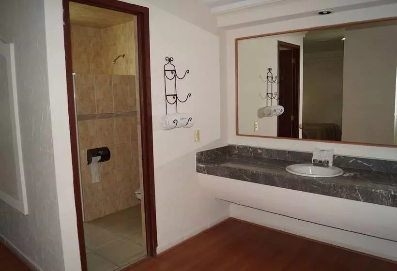 Fotos del hotel Global Express Puebla:  6
