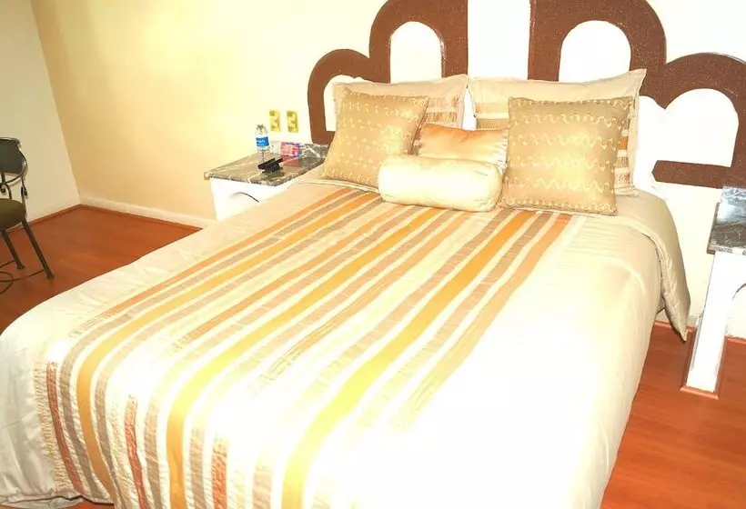 Fotos del hotel Global Express Puebla:  9