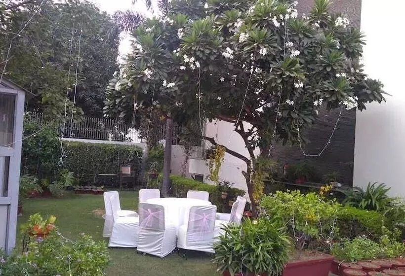 Fotos del hotel Silver Ark:  5