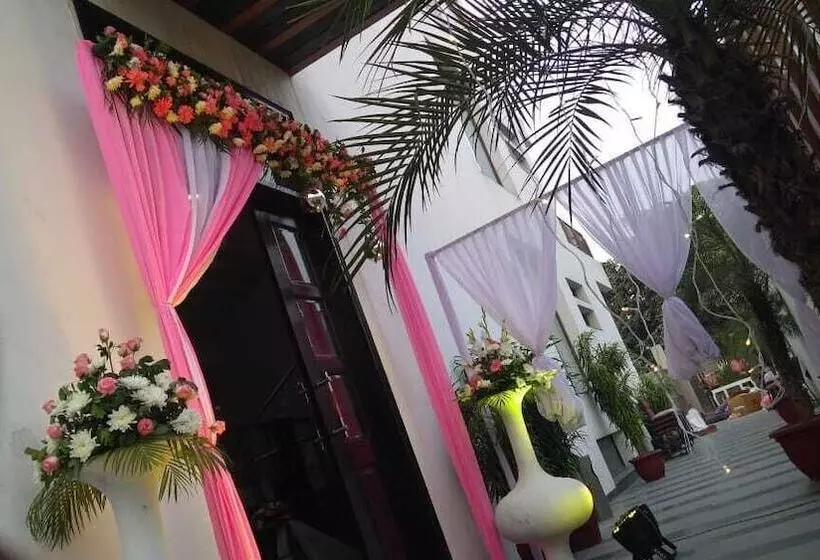 Fotos del hotel Silver Ark:  21