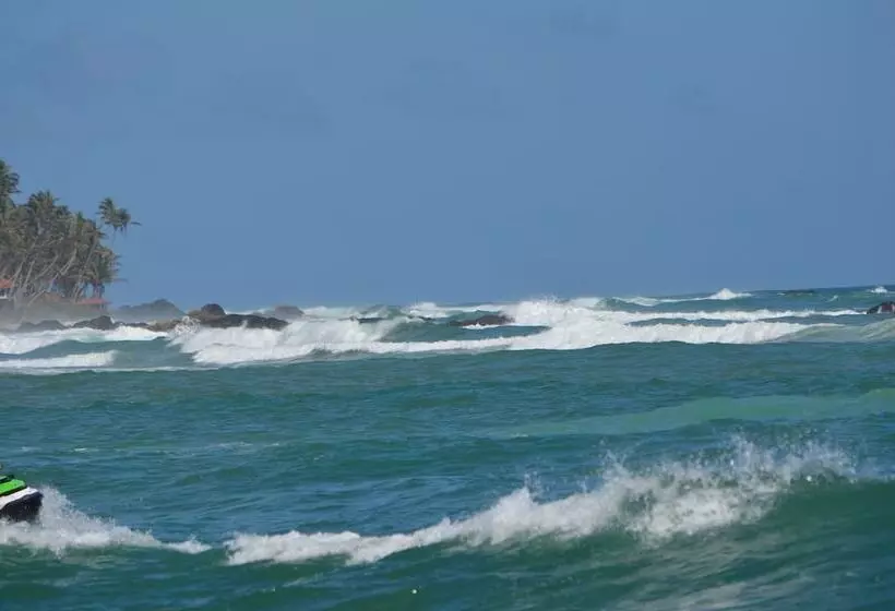 Fotos del hotel Thaproban Beach House:  24