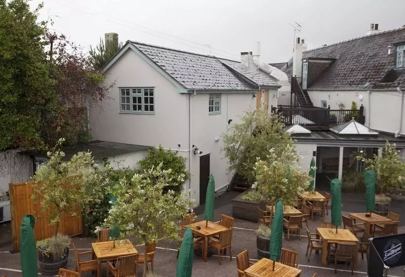 Fotos del hotel The Globe:  9