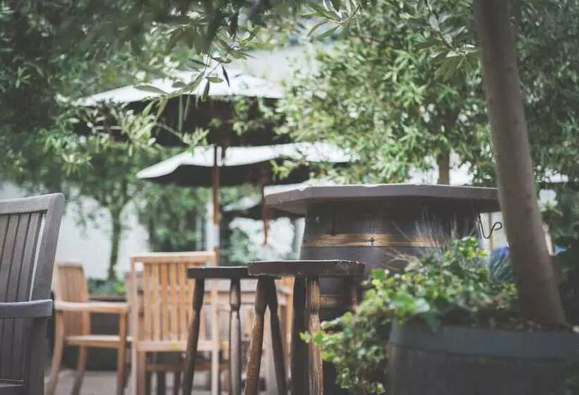 Fotos del hotel The Globe:  12