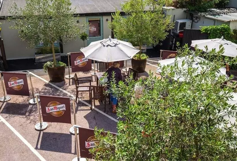 Fotos del hotel The Globe:  6