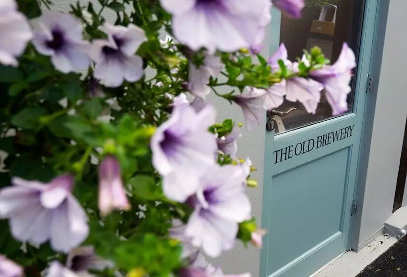 Fotos del hotel The Globe:  16