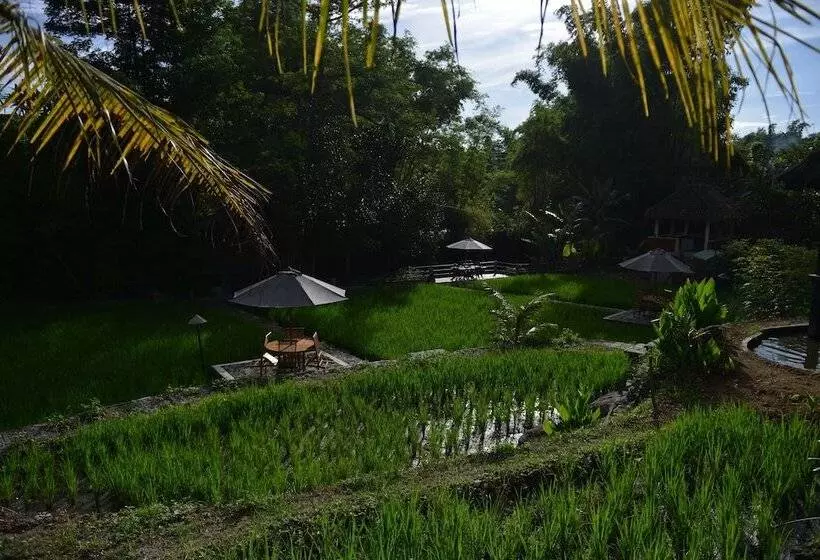 Fotos del hotel Padi Heritage Hotel:  8