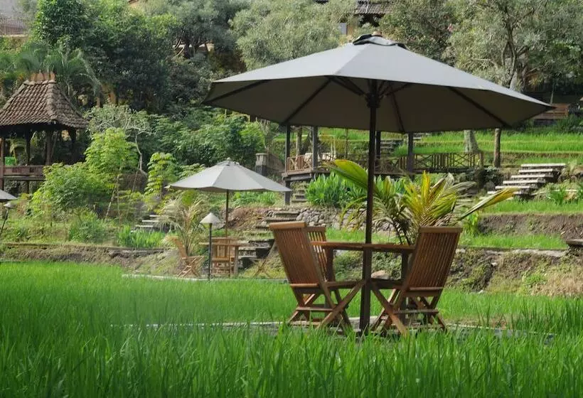 Fotos del hotel Padi Heritage Hotel:  20