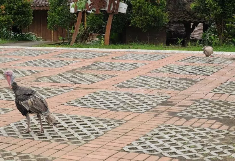 Fotos del hotel Padi Heritage Hotel:  17