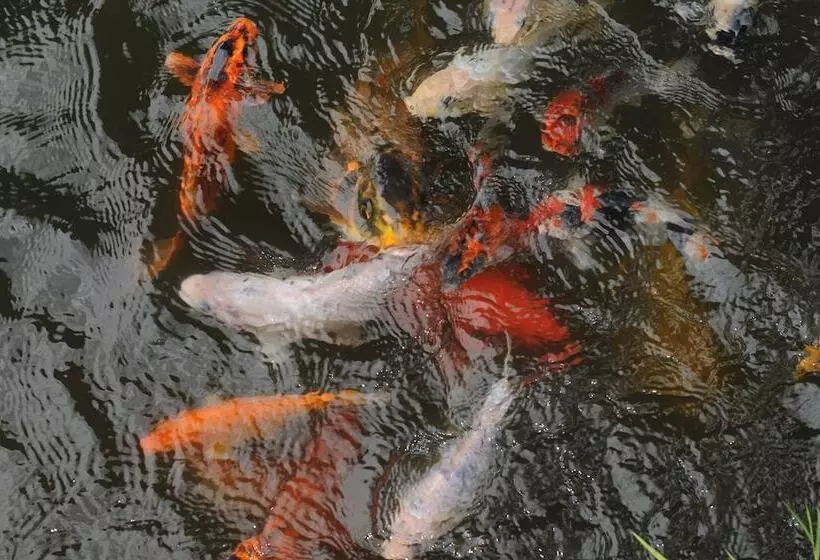 Fotos del hotel Padi Heritage Hotel:  7