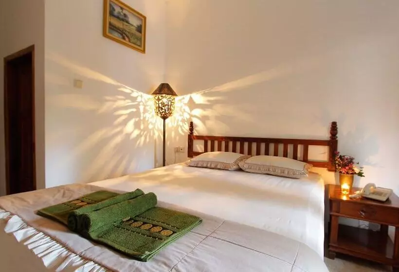 Fotos del hotel Padi Heritage Hotel:  25