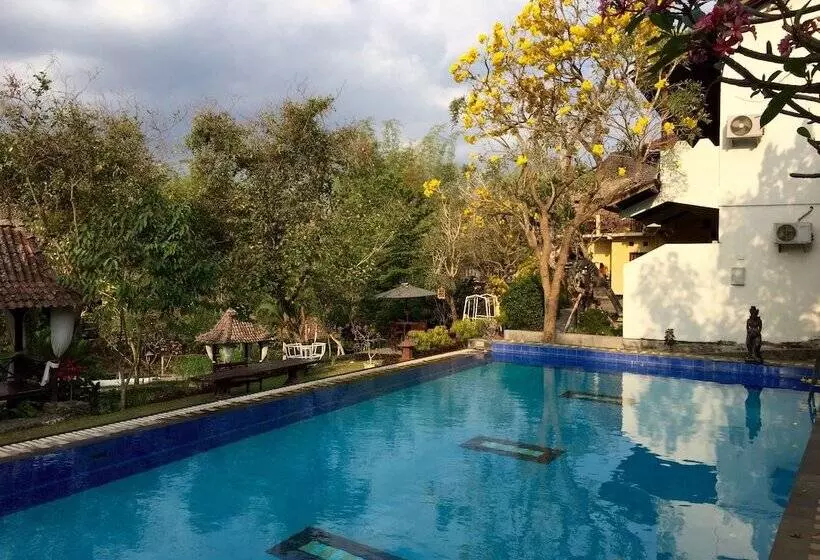 Fotos del hotel Padi Heritage Hotel:  10