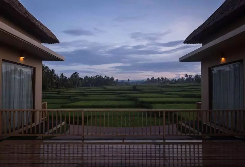 Fotos del hotel Manyi Village:  19