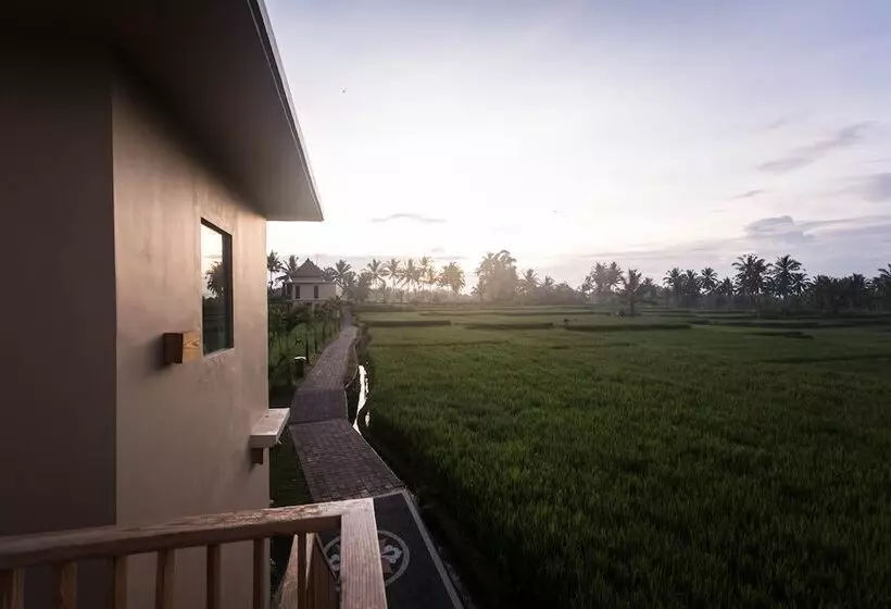 Fotos del hotel Manyi Village:  21