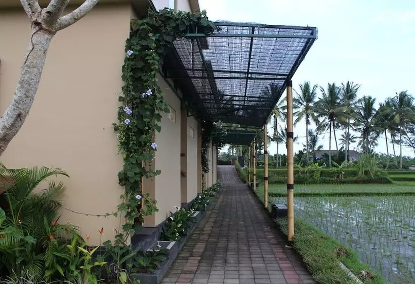 Fotos del hotel Manyi Village:  23