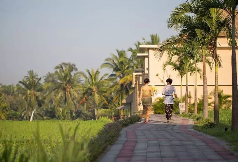 Fotos del hotel Manyi Village:  3