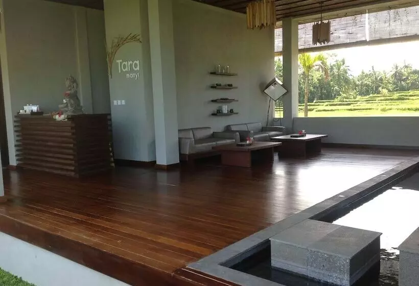 Fotos del hotel Manyi Village:  4