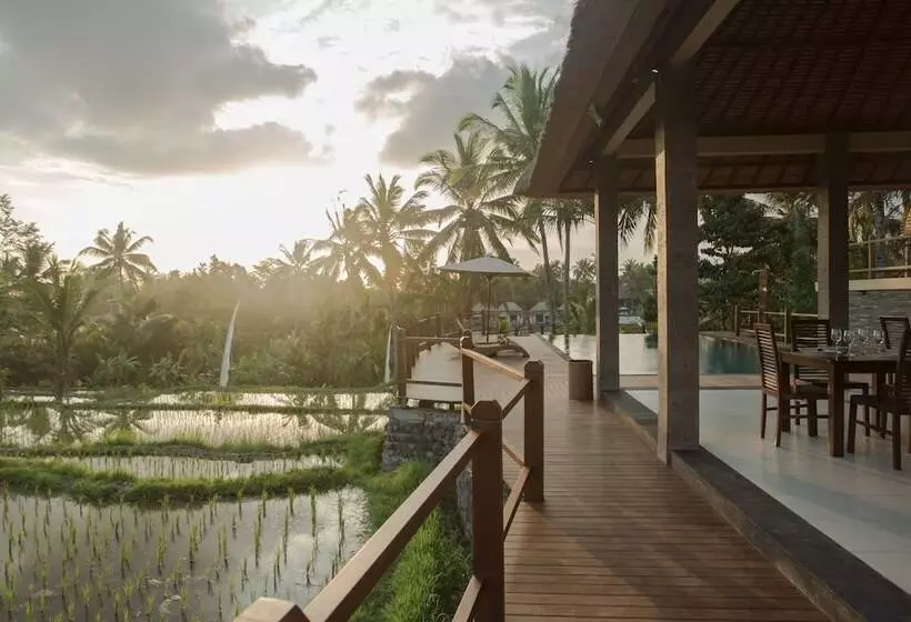 Fotos del hotel Manyi Village:  20