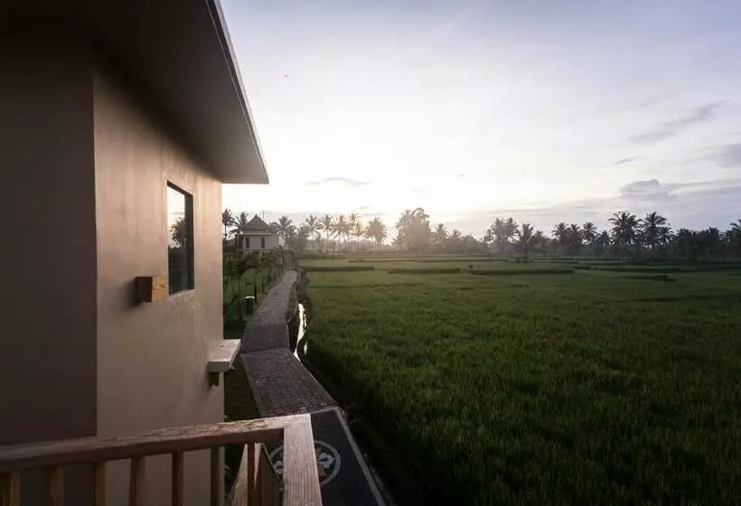 Fotos del hotel Manyi Village:  17