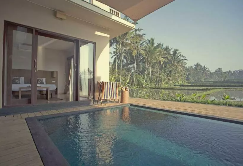 Fotos del hotel Manyi Village:  2