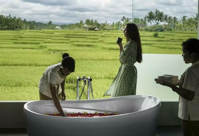 Fotos del hotel Manyi Village:  16