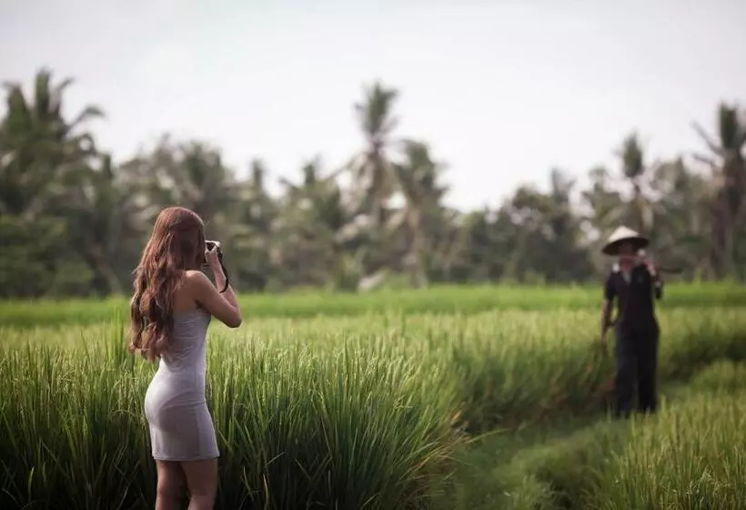 Fotos del hotel Manyi Village:  13