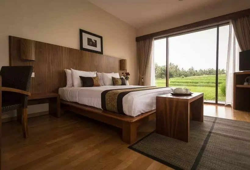 Fotos del hotel Manyi Village:  8