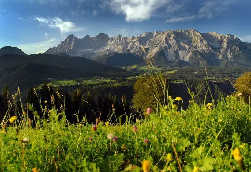 Fotos del hotel Pariente:  22